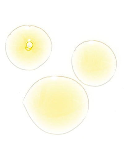 Radiance Face Oil